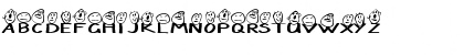 Dacin Werji Regular Font Dacin Werji Regular Font