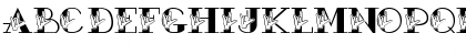 Heavy Poloy Regular Font
