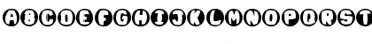 Pool Zone Regular Font Pool Zone Regular Font