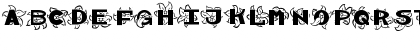 Spring Regular Font Spring Regular Font