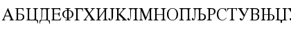 Times Cirilica Regular Font