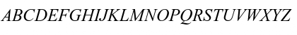 Times New Roman Eo Italic Font