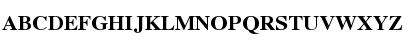 TimesYU Bold Font TimesYU Bold Font