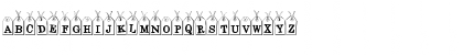 CK Tags Regular Font