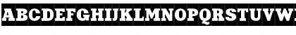 XeniaCameoCTT Regular Font XeniaCameoCTT Regular Font