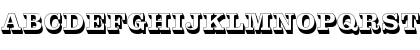 ClarendonTExtBolSh1 Regular Font