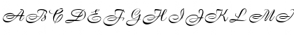 OPTIBrandenburg Medium Font OPTIBrandenburg Medium Font