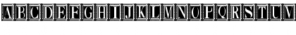 Ornate1 Regular Font Ornate1 Regular Font
