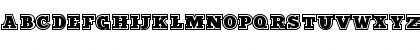 212 Sports Regular Font 212 Sports Regular Font