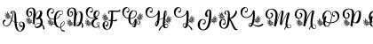 Albanian Olive Monogram 2 Regular Font Albanian Olive Monogram 2 Regular Font