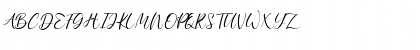 Anythings Regular Font Anythings Regular Font