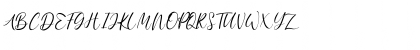 Anythings Regular Font Anythings Regular Font