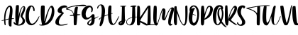 Botanical Flourish - Personal U Regular Font Botanical Flourish - Personal U Regular Font