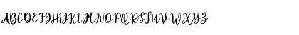 Diana Rough FREE Regular Font