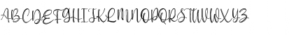 Everline Regular Font Everline Regular Font