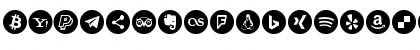 font 100 icons Regular Font