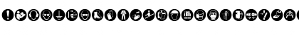 FontsVectorIso7010Mandatory Regular Font