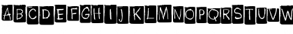 Paf Header Regular Font