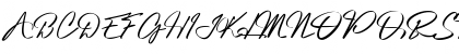 Platinum Signature Regular Font Platinum Signature Regular Font