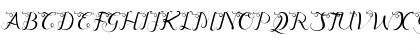 Quentara Regular Font Quentara Regular Font
