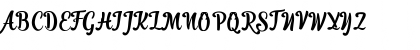 Ranykinaya Script Regular Font