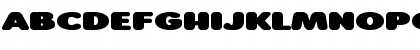 Roundigger Bold Font