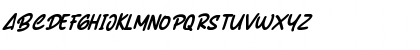 Shaeila Maker Italic Regular Font Shaeila Maker Italic Regular Font