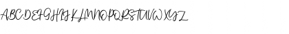 Single Signature Ordinary Regular Font Single Signature Ordinary Regular Font