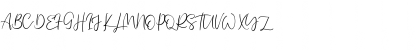 Single Signature Thin Ordinary Regular Font