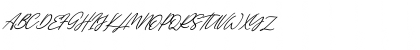 Single Signature Tilted Regular Font Single Signature Tilted Regular Font