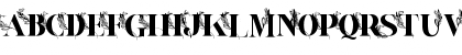 Veshion 
 Font