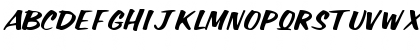 ParagonScriptSSK Regular Font ParagonScriptSSK Regular Font