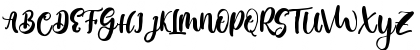 Moleska Regular Font Moleska Regular Font