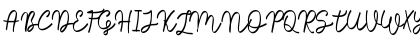Sale Maker Script Script Font Sale Maker Script Script Font