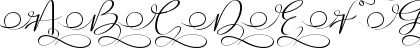 Stella Calligraphy Regular Font Stella Calligraphy Regular Font