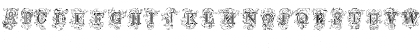 Tuscani Initials Regular Font Tuscani Initials Regular Font