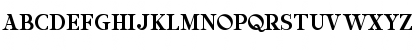Anatomy Fill Regular Font