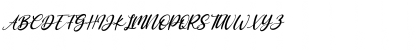 Antoinete Italic Regular Font Antoinete Italic Regular Font
