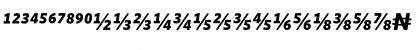 WhitneyNumeric BoldItalic Font