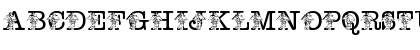 pf_more_joy_of_reading Regular Font