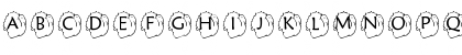 pf_turkey1 Regular Font pf_turkey1 Regular Font