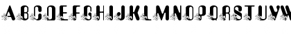 pf_walter_wolf Regular Font