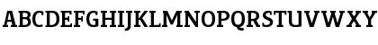 PreciousSerifBold Regular Font PreciousSerifBold Regular Font