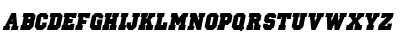 PrincetonSolid Italic Font PrincetonSolid Italic Font