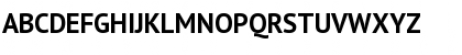 PT Sans Bold Font PT Sans Bold Font