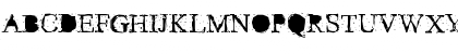 Times New Roman Regular Font Times New Roman Regular Font