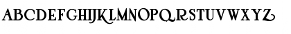 Pyriform Tones NF Regular Font Pyriform Tones NF Regular Font