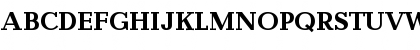 Quantity Bold Font Quantity Bold Font