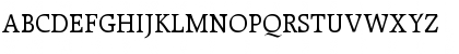 Raleigh Roman Font