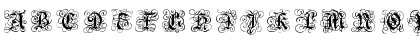 RoyalGothic Regular Font RoyalGothic Regular Font